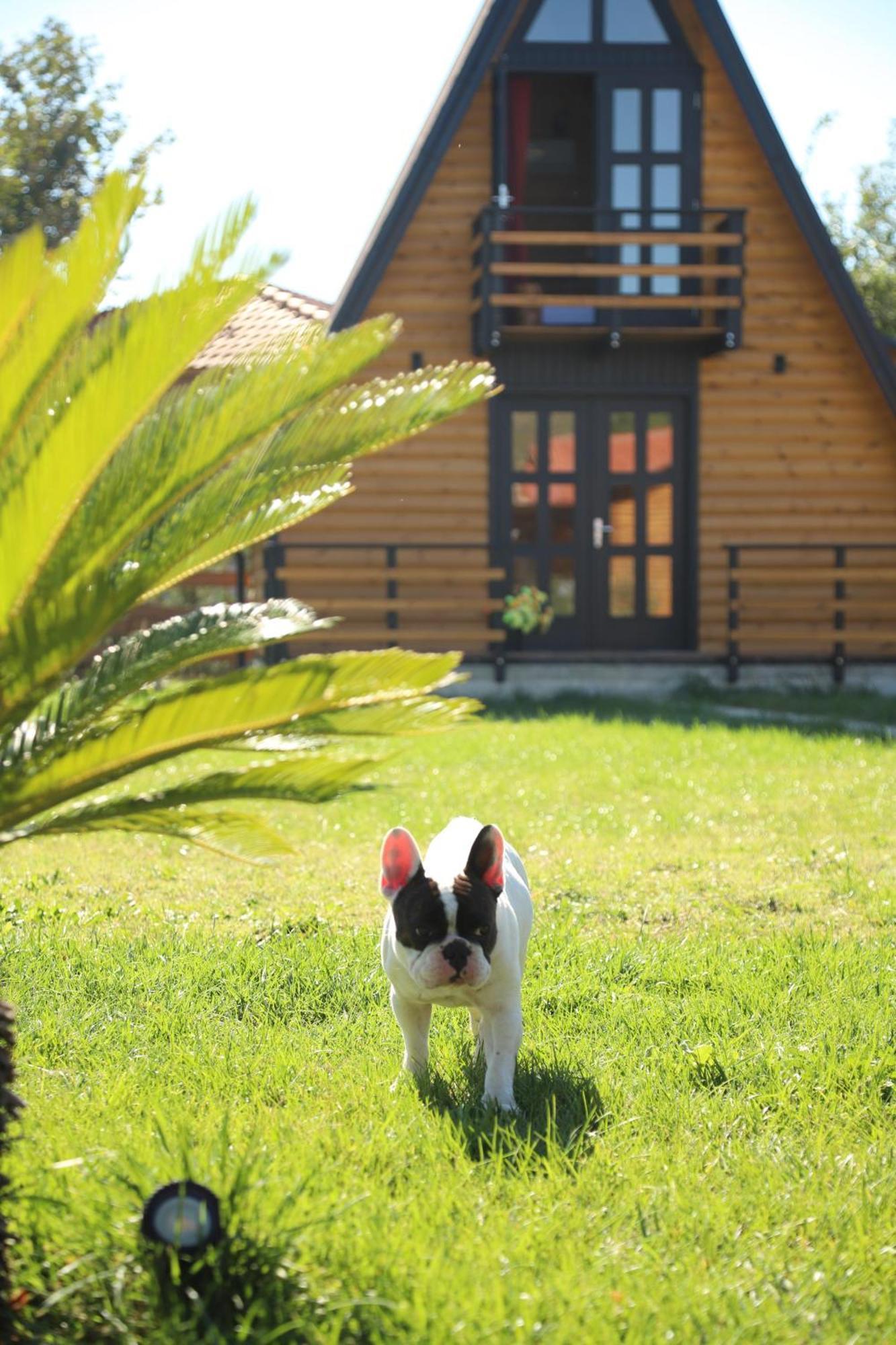 Sancho Farm Albania Vila Memaliaj Exterior foto