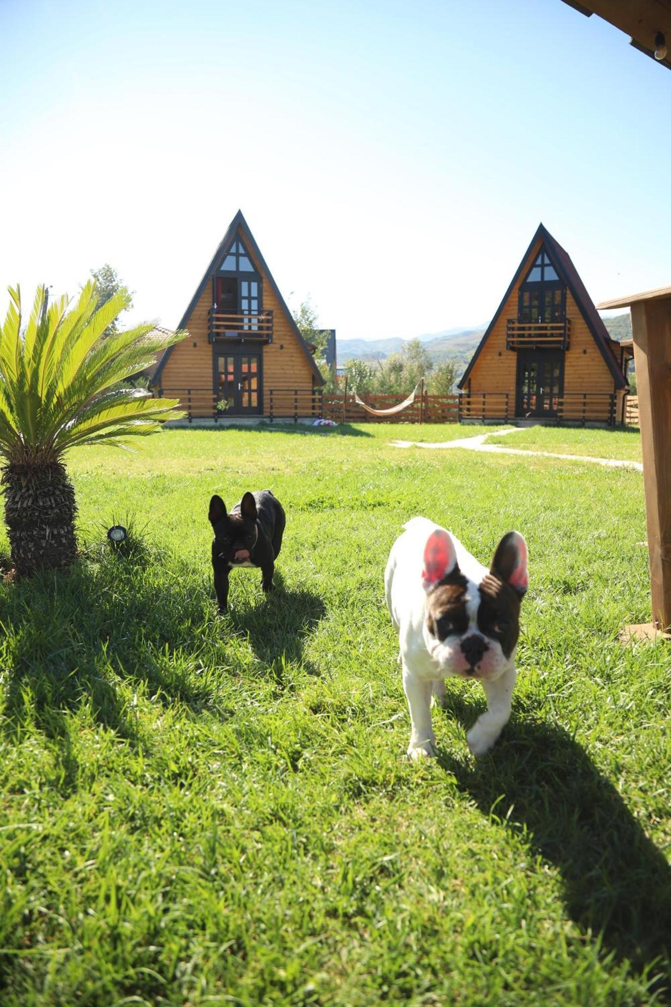 Sancho Farm Albania Vila Memaliaj Exterior foto