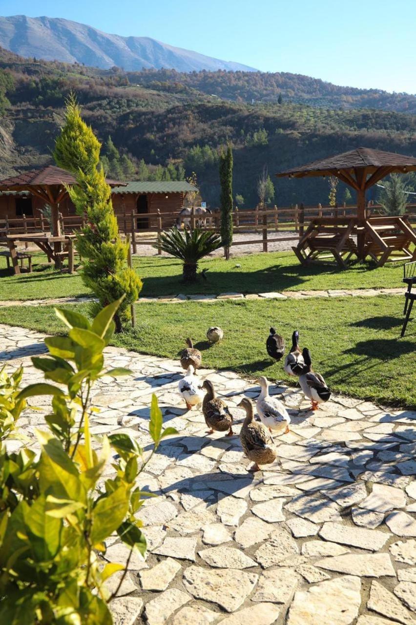 Sancho Farm Albania Vila Memaliaj Exterior foto